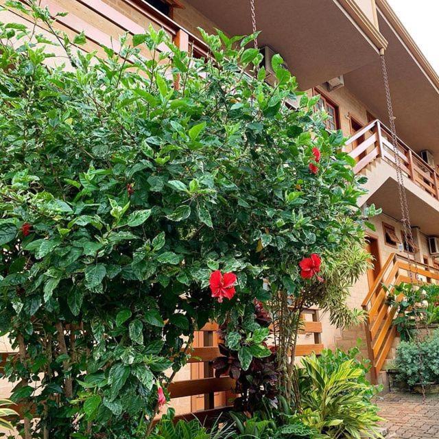 Hotel Pousada Santa Rita Ribeirão Preto Exterior foto